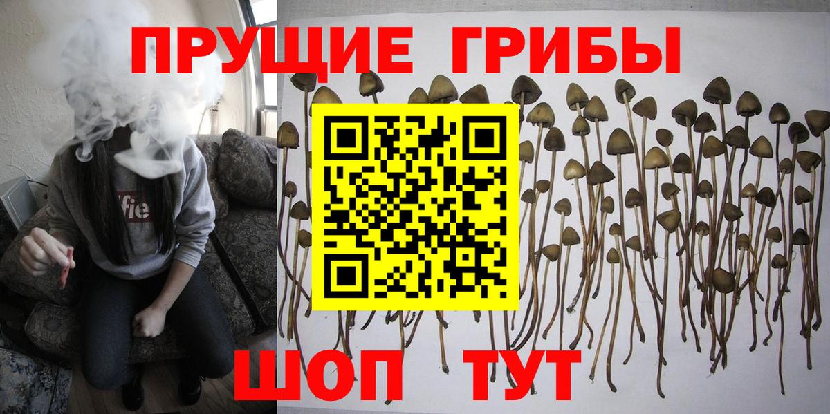Псилоцибиновые грибы Magic Shrooms  Галлюциногенные грибы мухоморы  Нововоронеж  Вход с VPN 