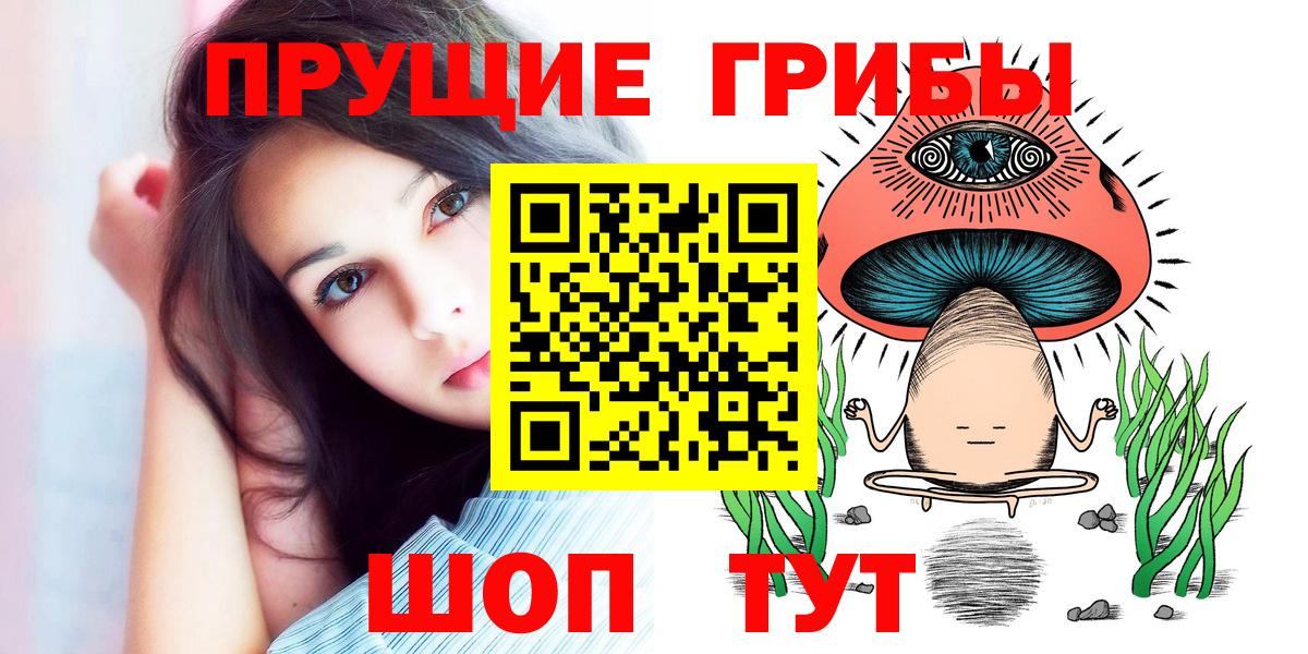 Псилоцибиновые грибы мицелий Нововоронеж