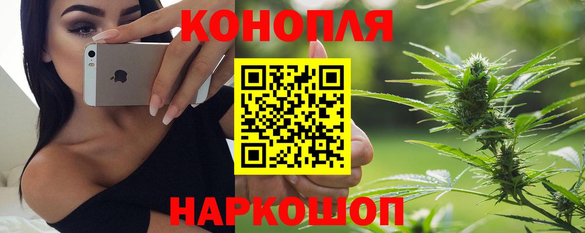 Канабис ГИДРОПОН Нововоронеж